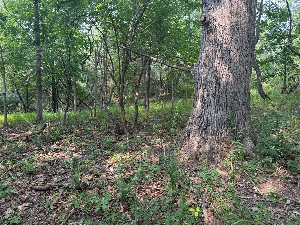 Picture 34
