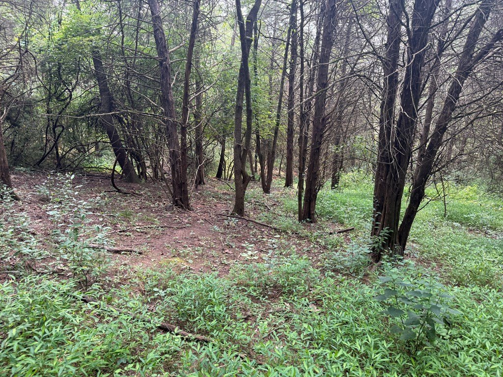 Picture 36