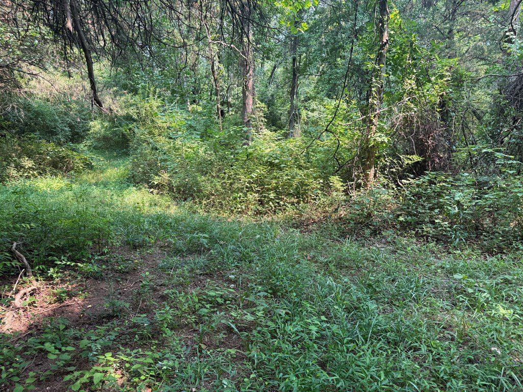 Picture 27