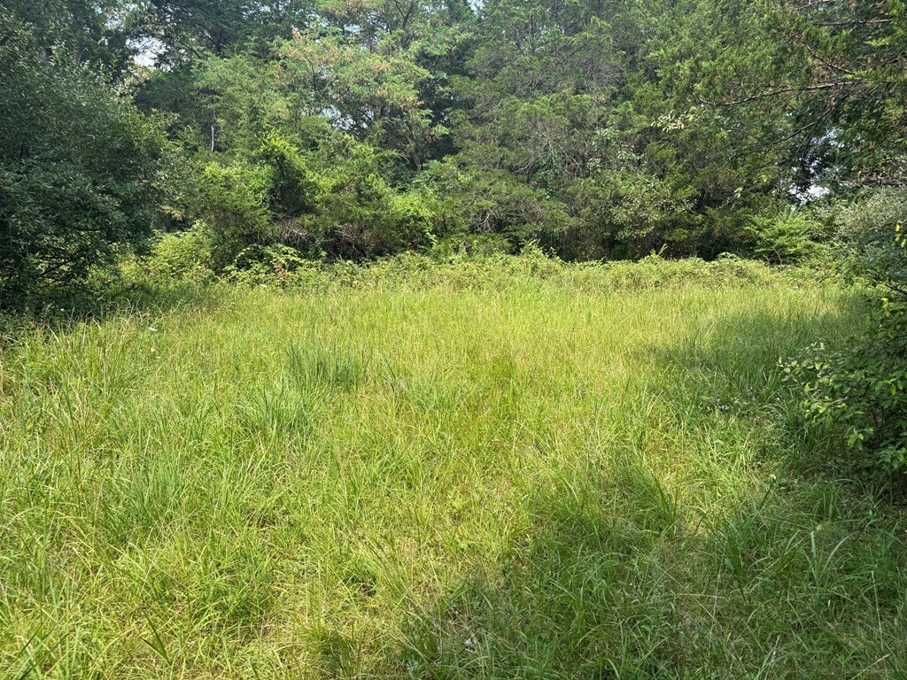 Picture 31