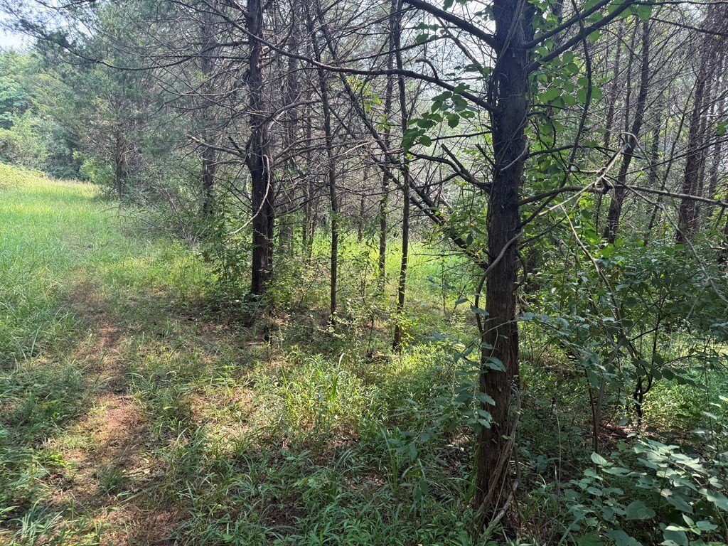 Picture 29