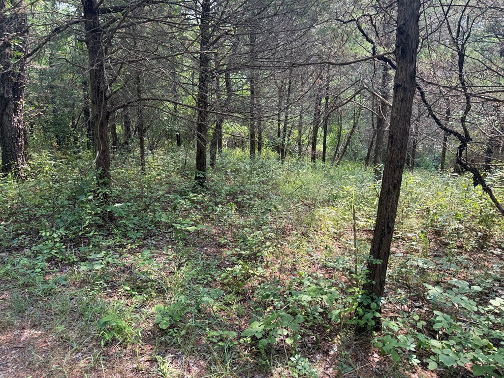 Picture 15