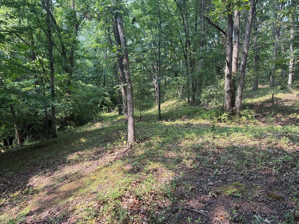 Picture 23