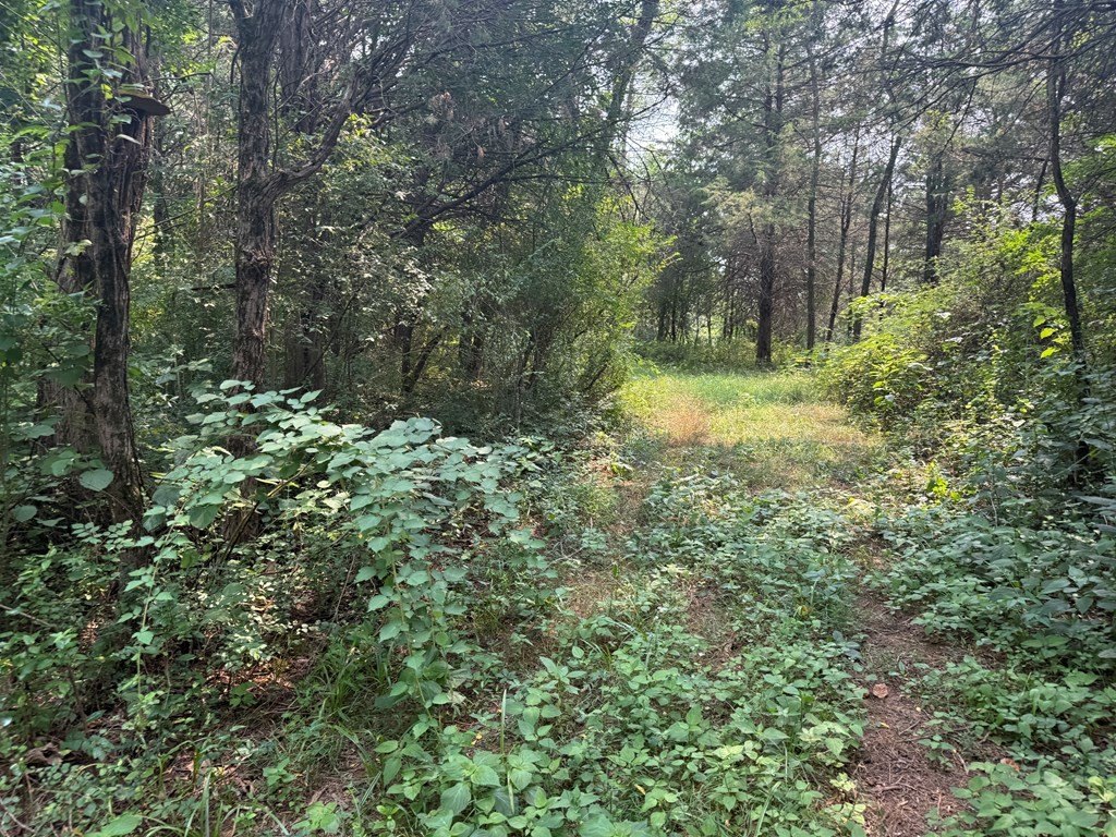 Picture 28