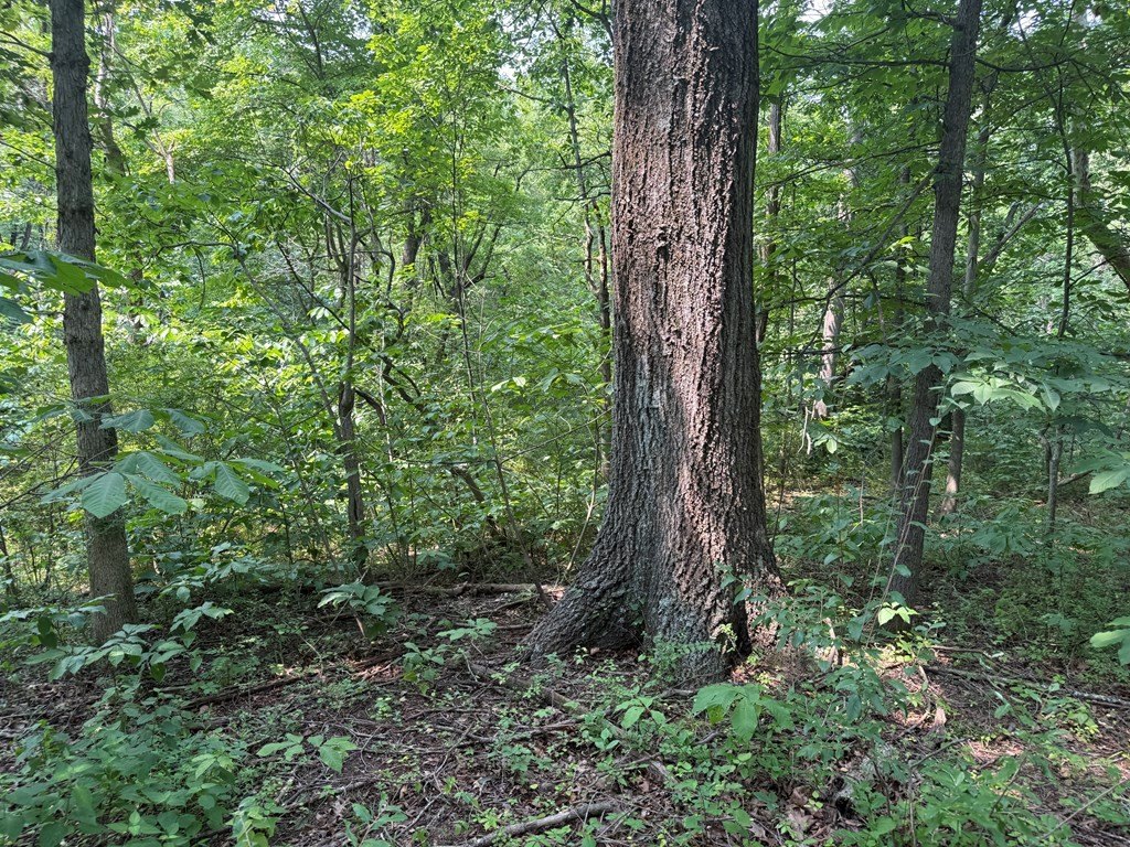 Picture 25