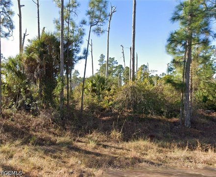 Land, Lehigh Acres, FL