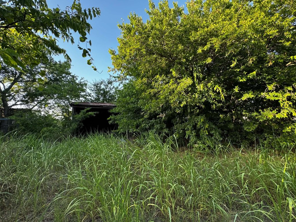 Picture 26