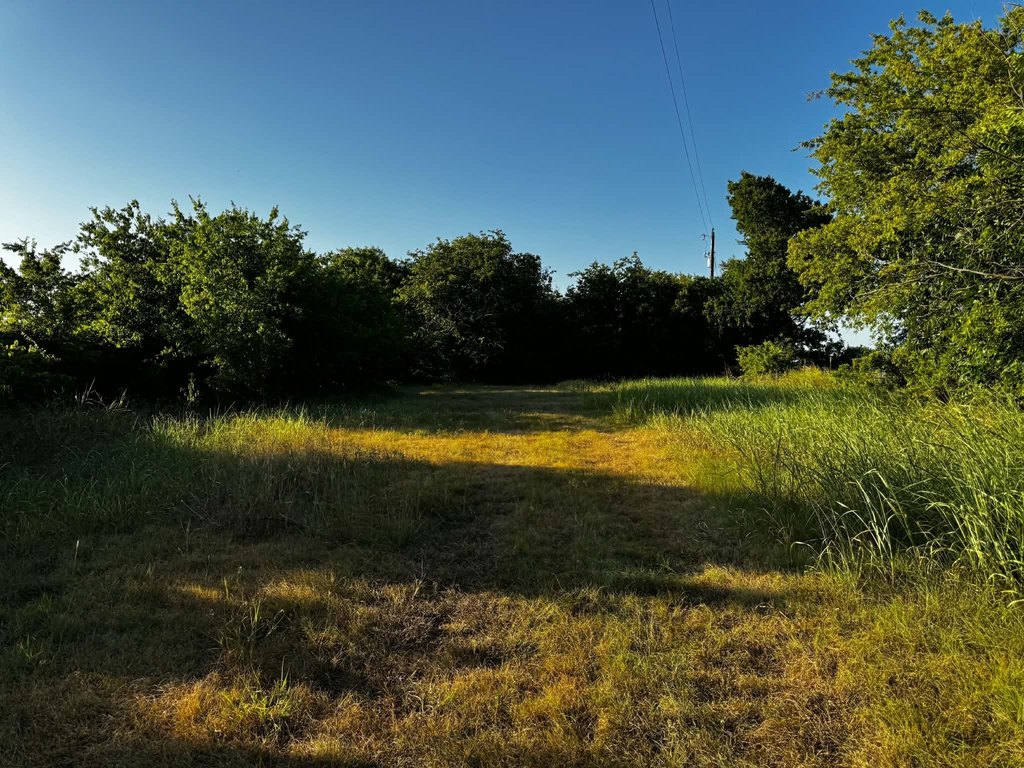 Picture 20