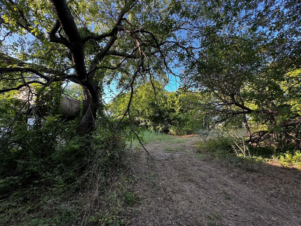 Picture 28