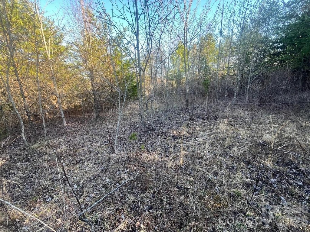 Picture 12