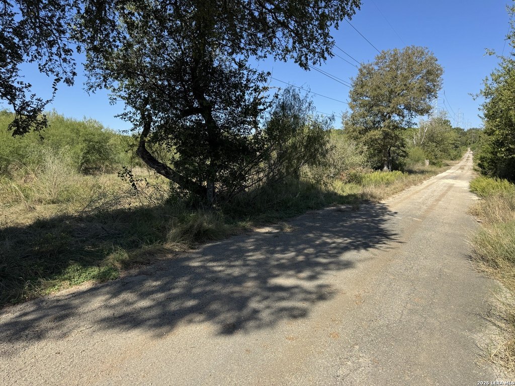 Picture 5