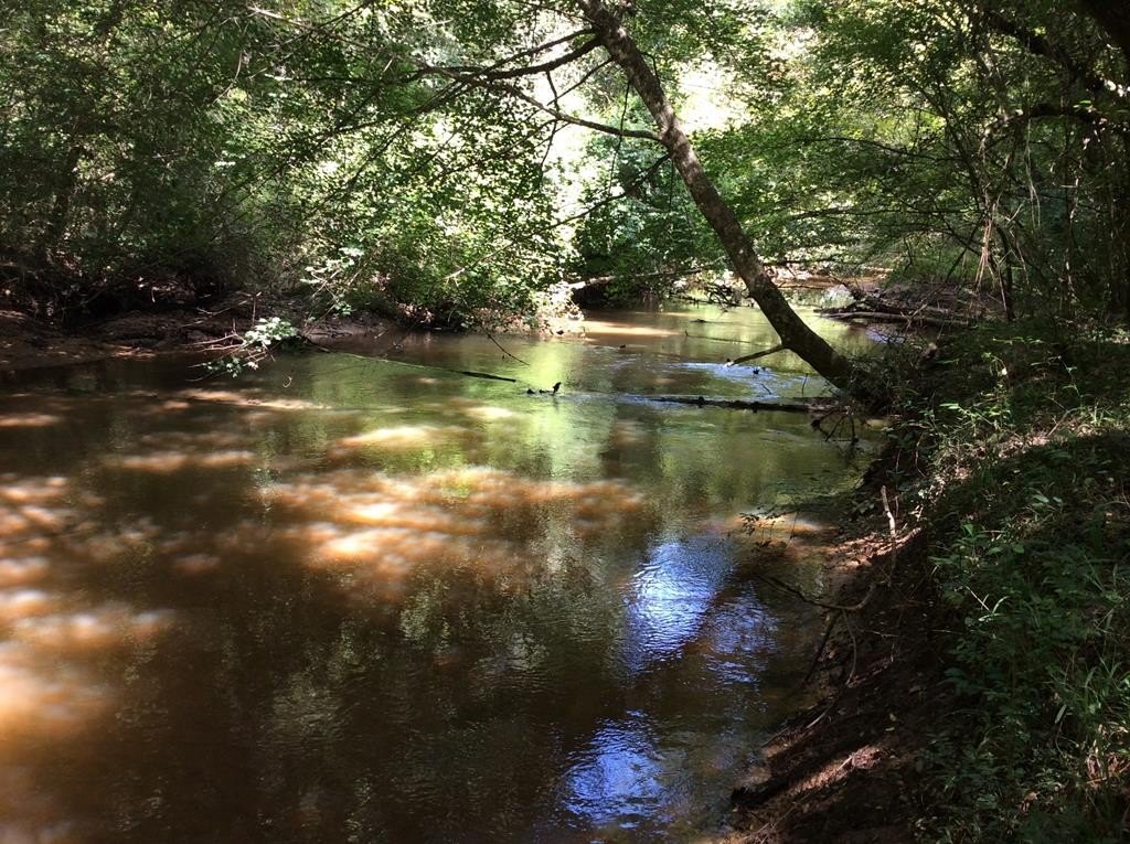 71 Acres with River Access
