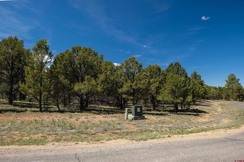 Ridgway Residential Land with Views