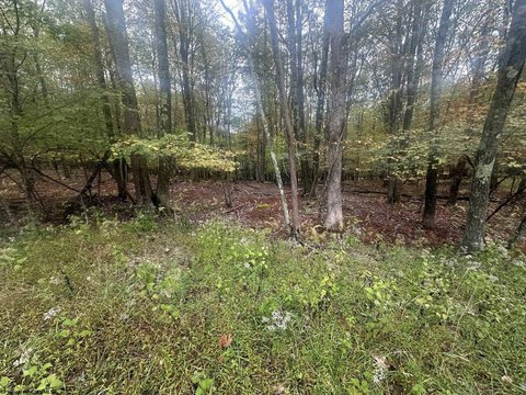 LAND - Terra Alta, WV