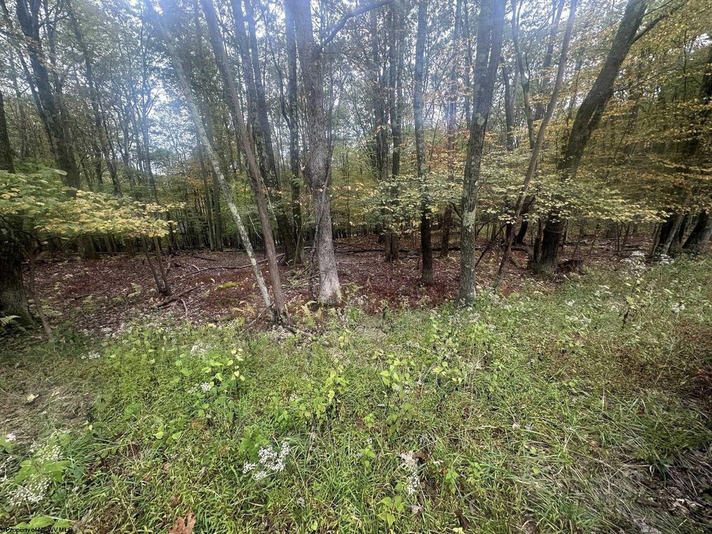 Picture 6