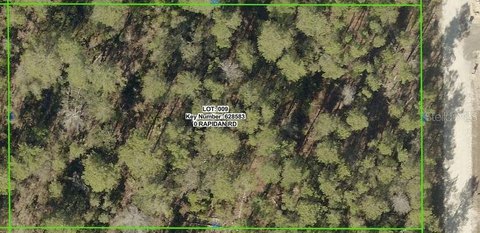Land, WEEKI WACHEE, FL
