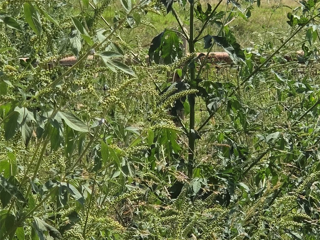 Picture 19