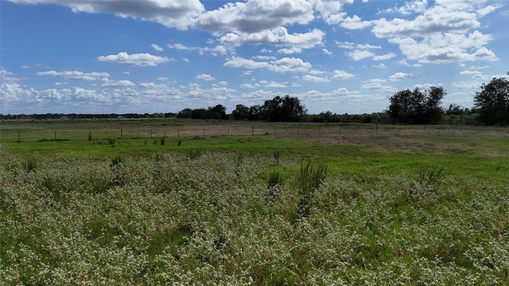 Picture 22