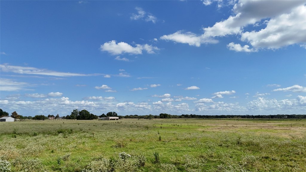 Picture 25
