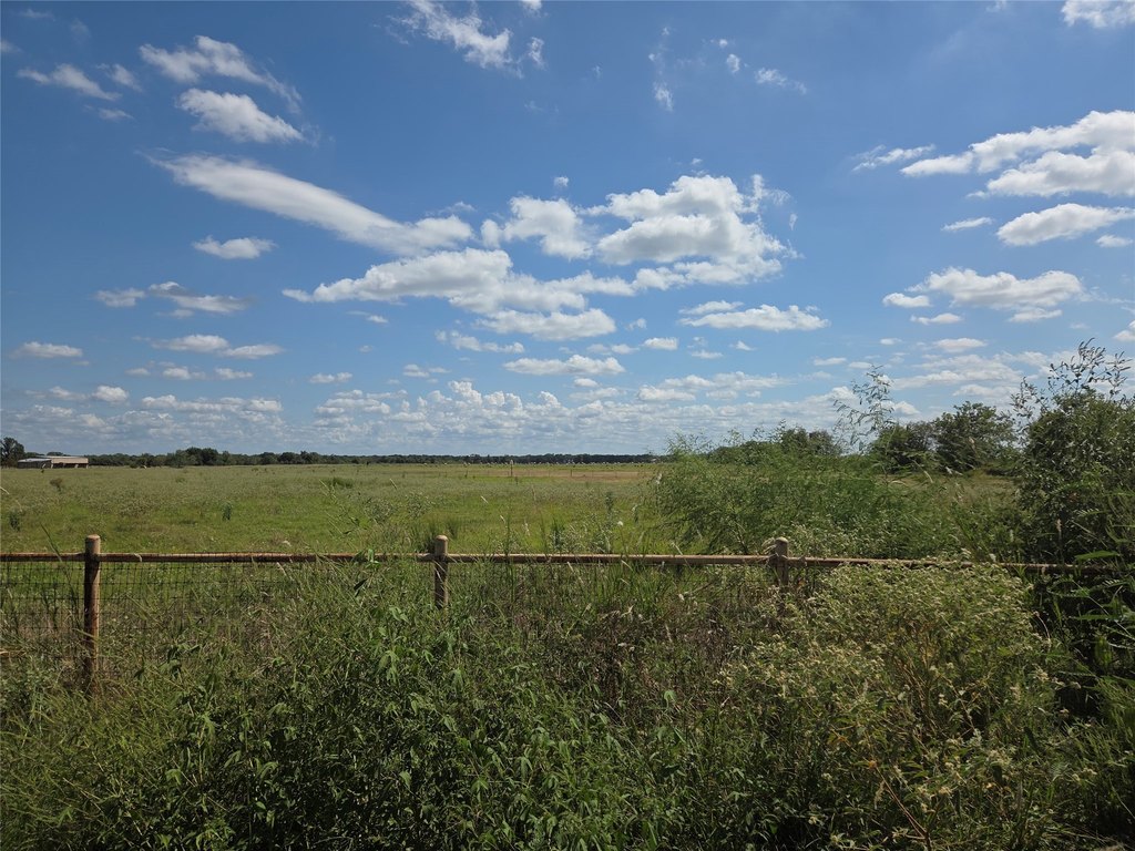 Picture 35