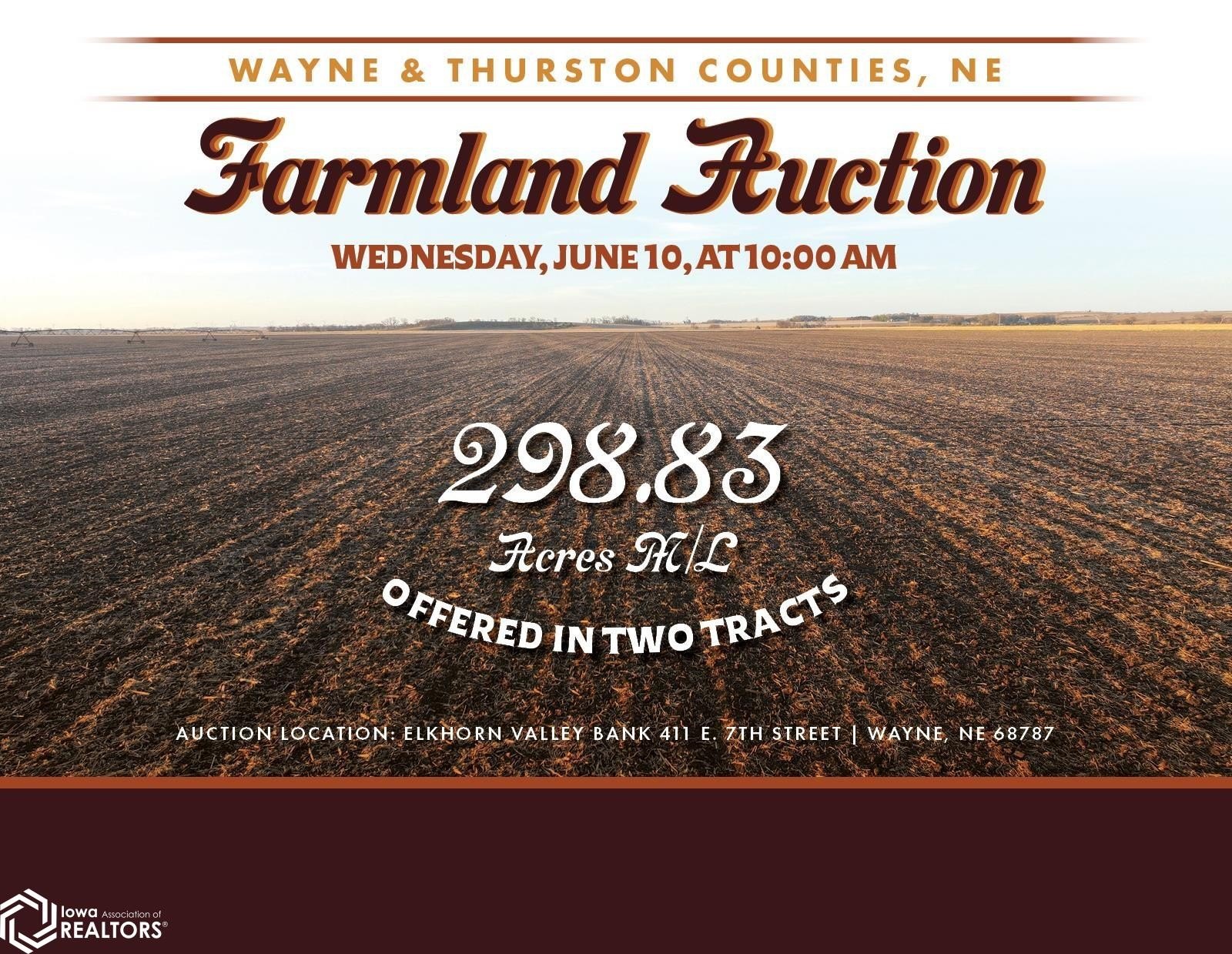 Farmland Auction in Wayne County