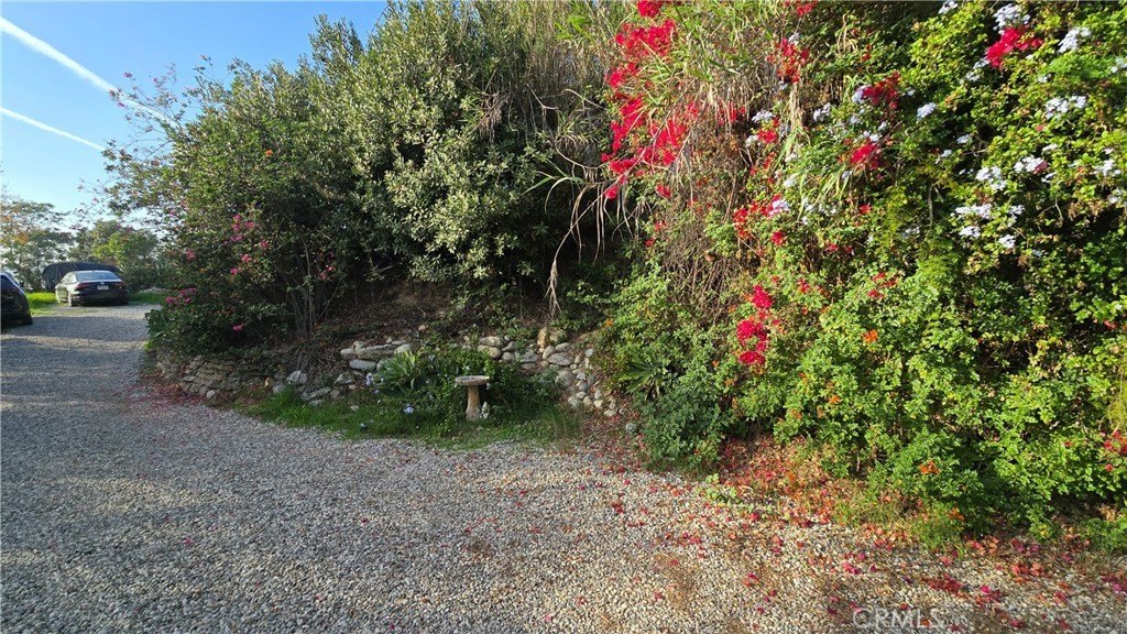Picture 22