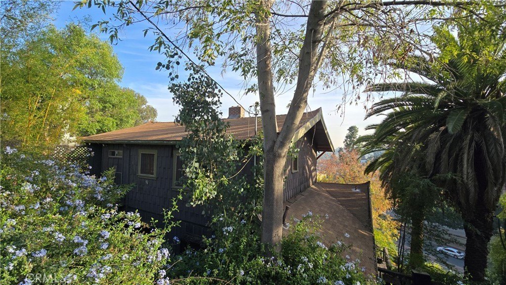 Picture 21