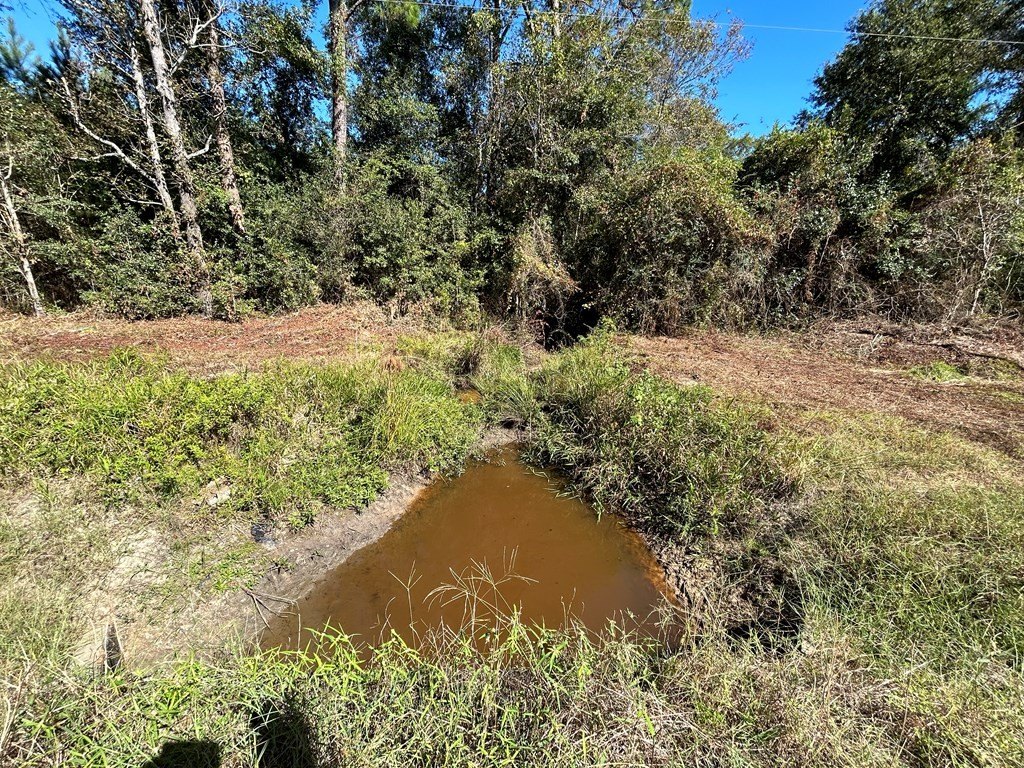 Picture 16