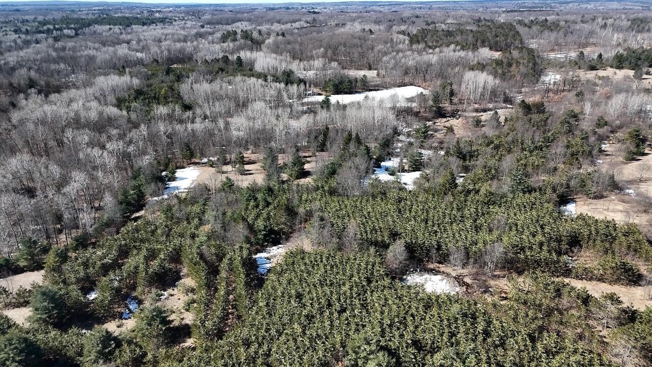 Osceola County Hunting and Recreational Land