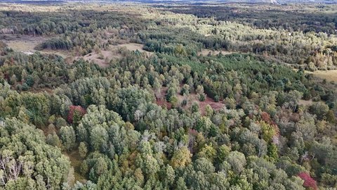 80-Acre Hunting Land with River