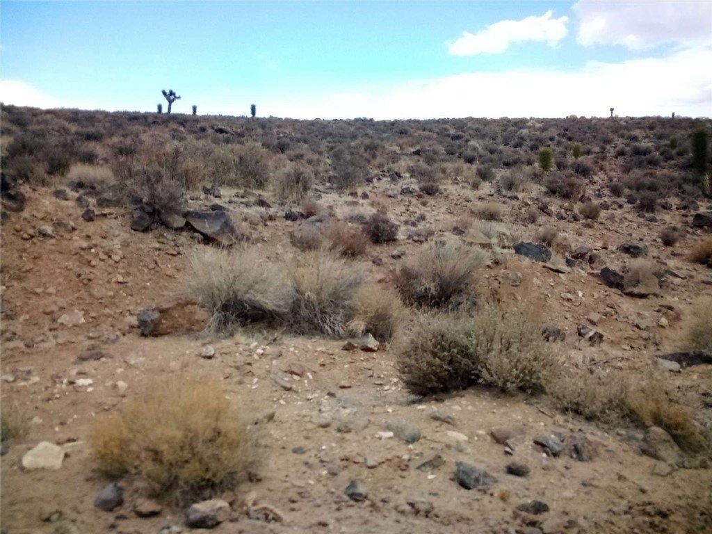 Picture 11