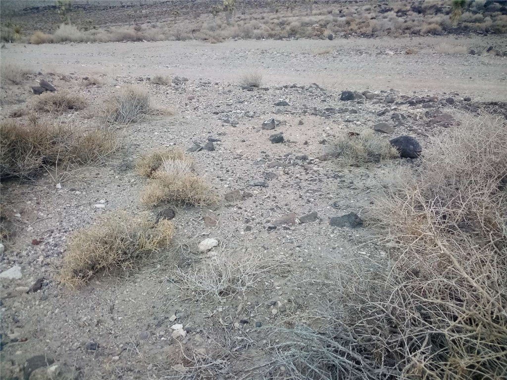 Picture 6