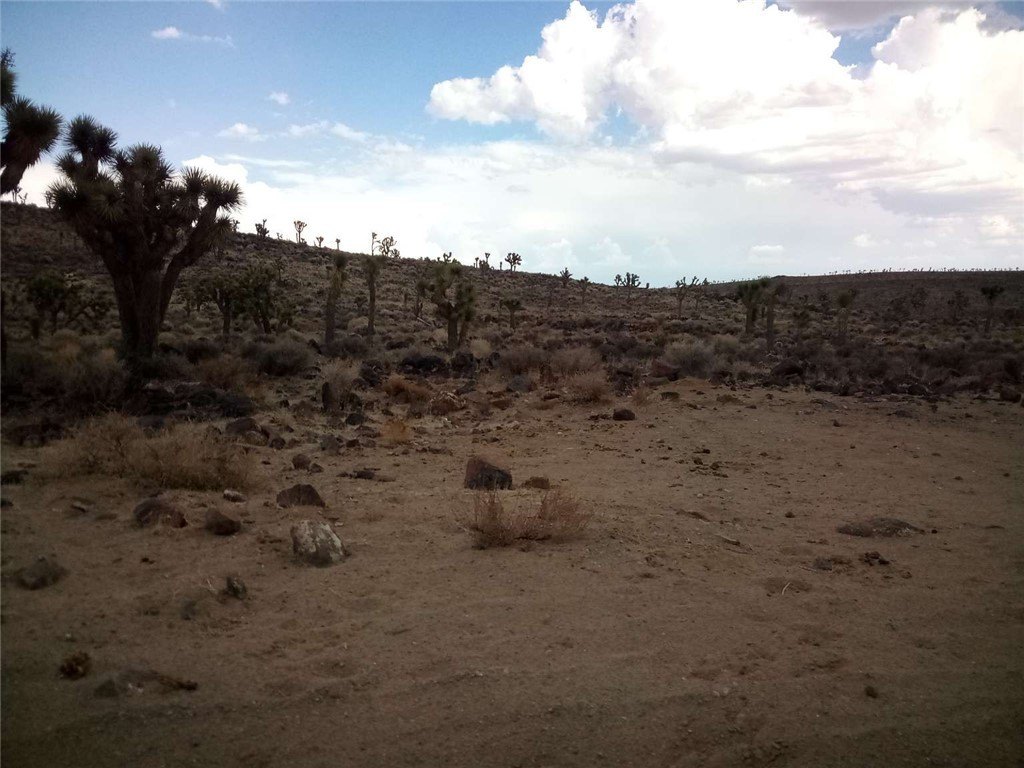Picture 9