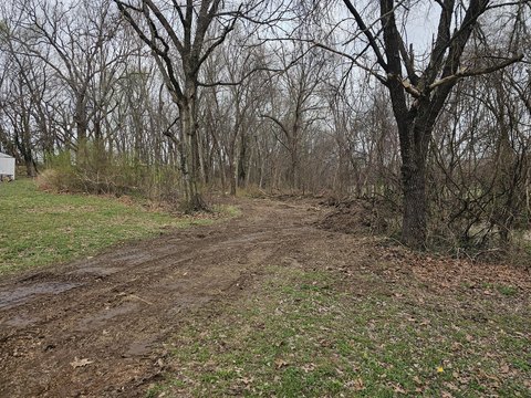 Wooded Land in Goodman, Missouri