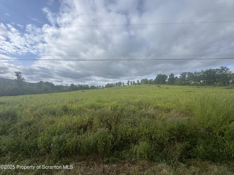 41 Acre Newton Twp Land
