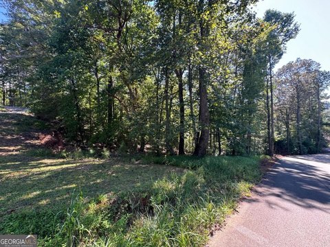 Land, Ellijay, GA