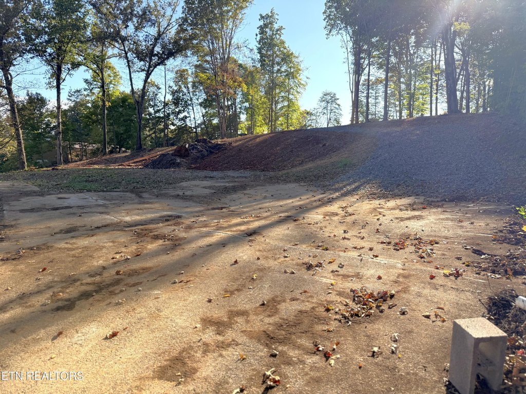 Picture 14