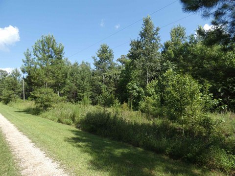 LAND - Monticello, FL