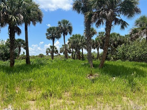 Residential Land in Palm Bay