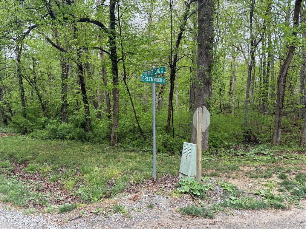 Picture 20