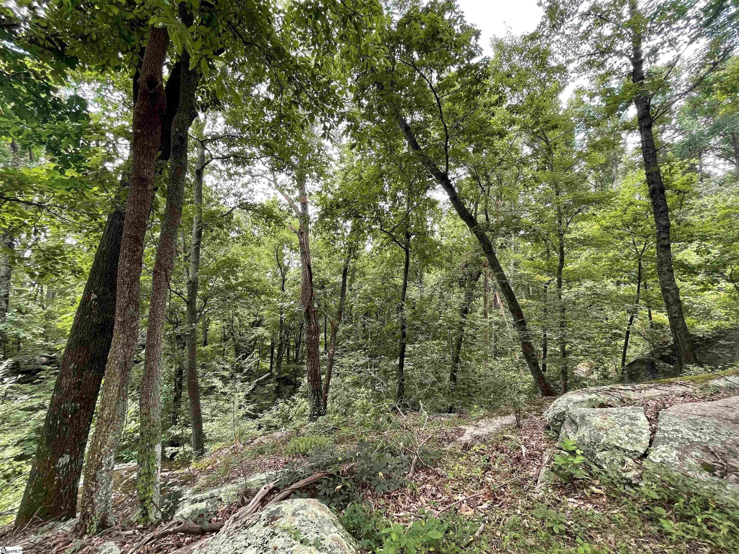 Pristine Land in Gated Community
