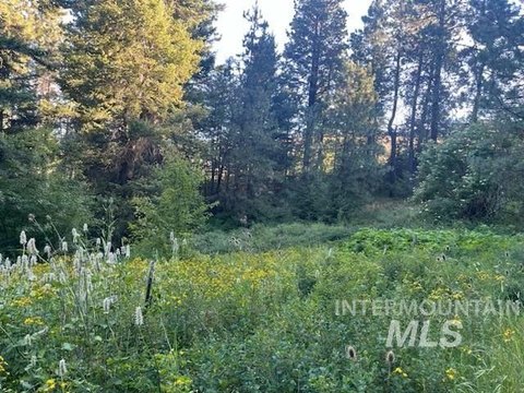 Lewiston, ID Land Opportunity