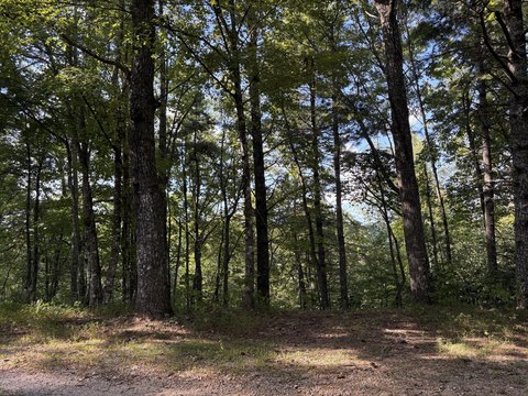 Land, Walland, TN