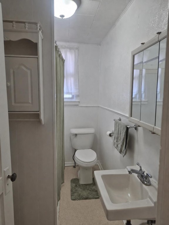 Picture 28