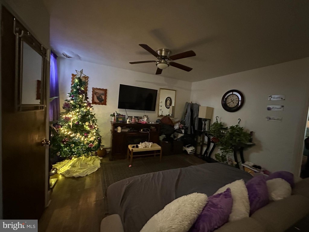 Picture 3