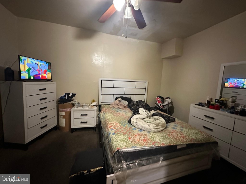 Picture 25