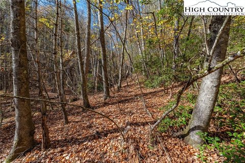 2.5 Acre Mountain Building Lot
