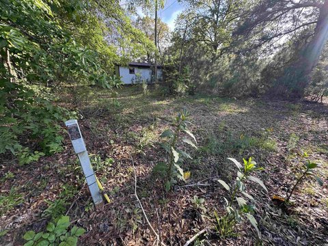 Land Ready for New Build