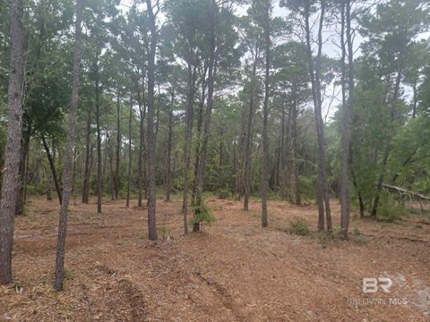 LAND - Gulf Shores, AL