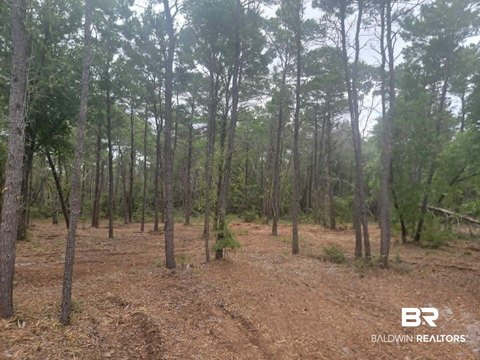 LAND - Gulf Shores, AL